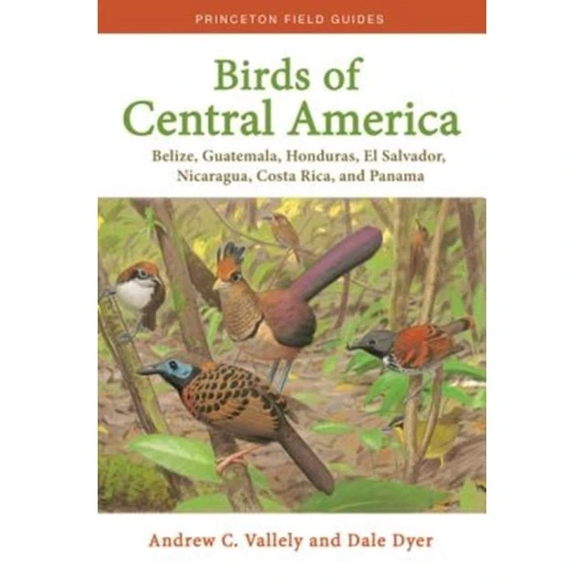 Birds of Central America - Dale Dyer & Andrew C. Vallely