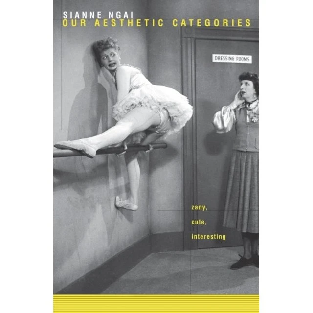 Sianne Ngai - Our Aesthetic Categories (Bog)