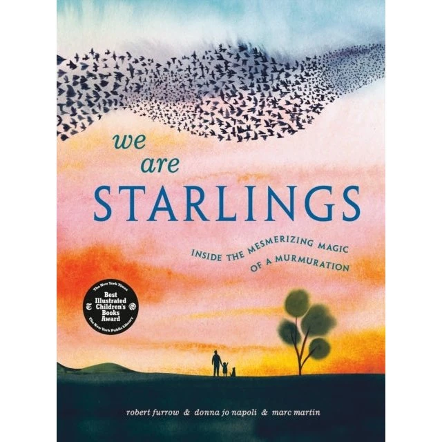 We Are Starlings - Billedbog af Marc Martin