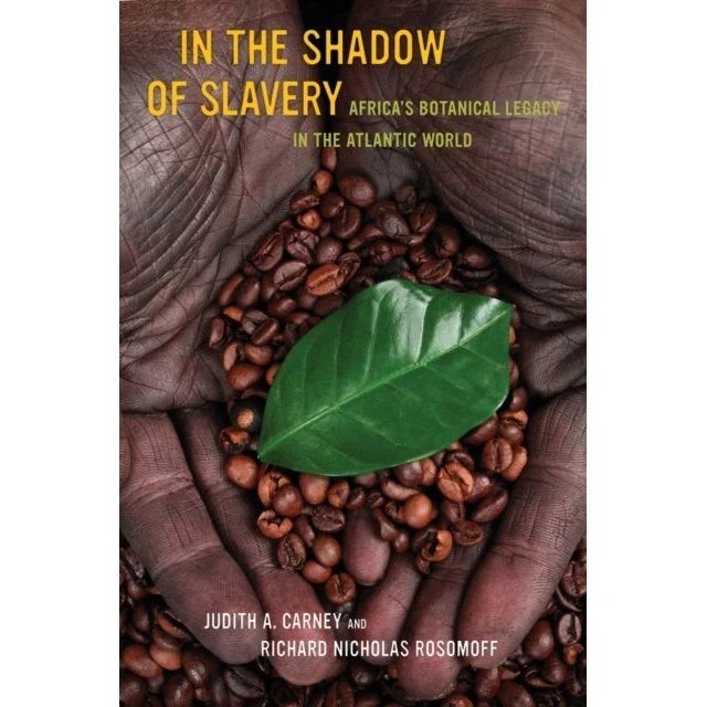 In the Shadow of Slavery af Judith Carney