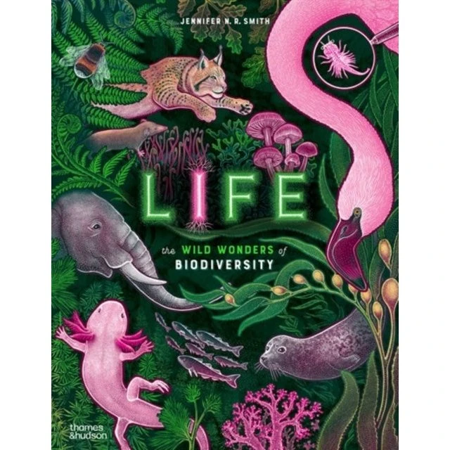 Life - Jennifer N. R. Smith - Billedbog