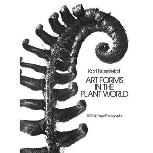Karl Blossfeldt: Art Forms in the Plant World - Bog