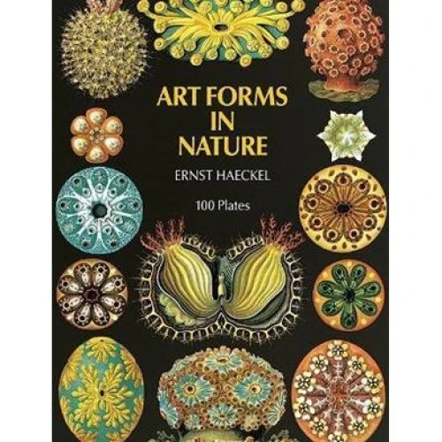 Ernst Haeckel: Art Forms in Nature - Bog