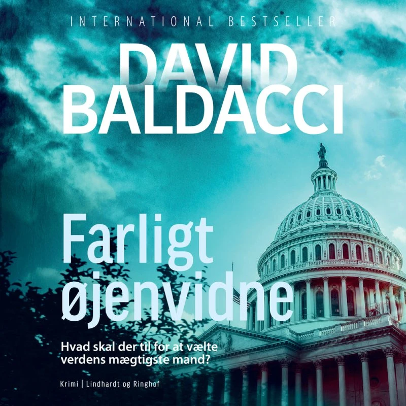 Farligt øjenvidne - David Baldacci (Lydbog)