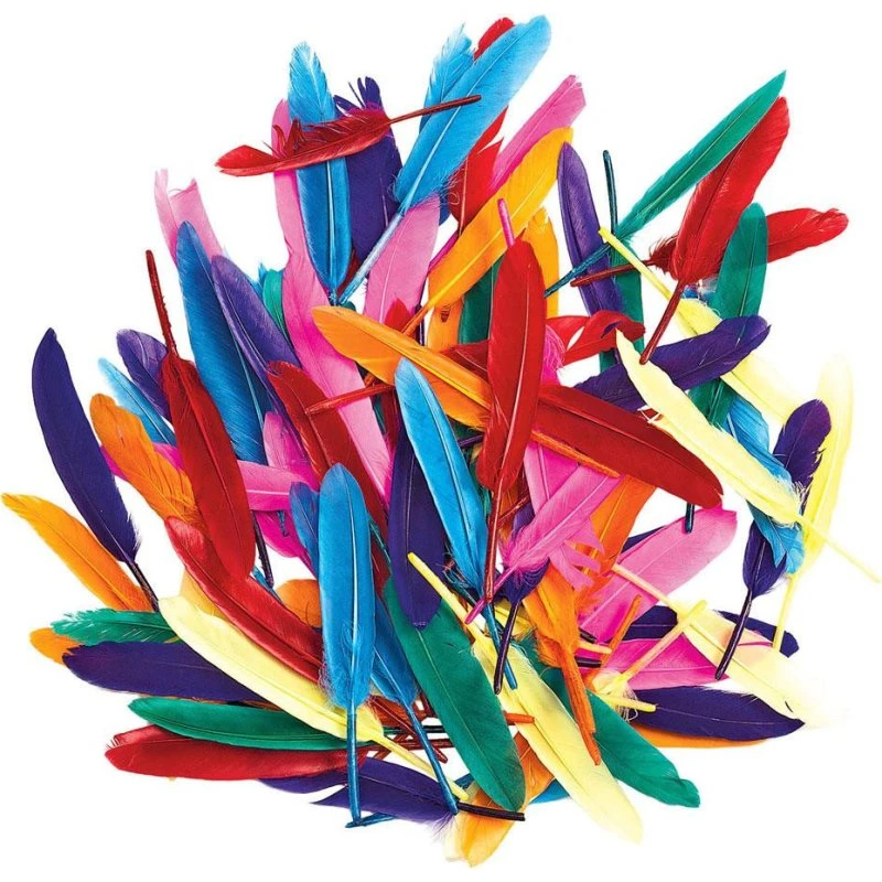 Colorations Farvede Andefjer - 145 stk. - 10 cm