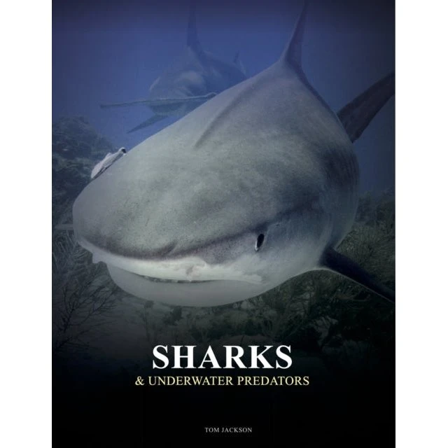 Sharks and Underwater Predators - Tom Jackson