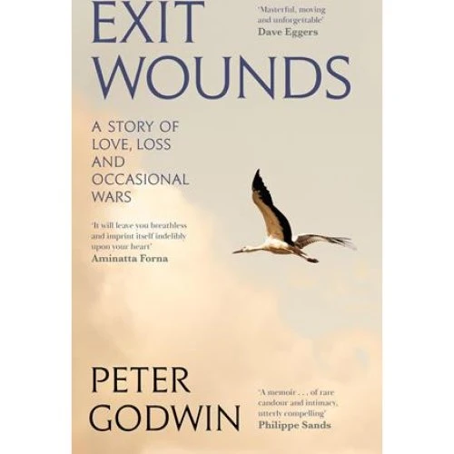 Peter Godwin: Exit Wounds - Bog