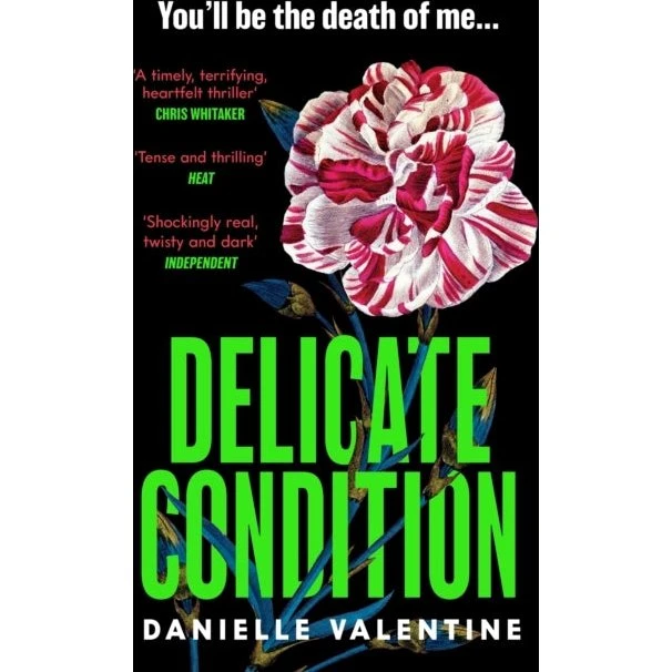 Delicate Condition - Spændingsroman