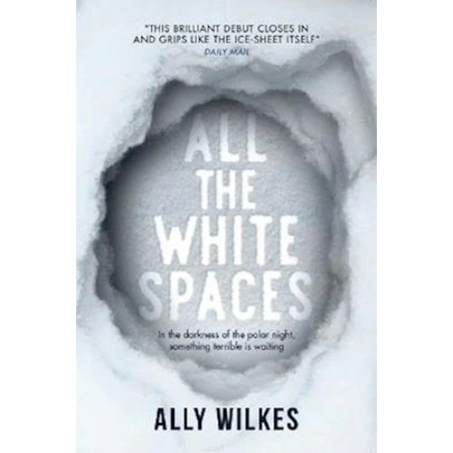 Ally Wilkes: All the White Spaces (Bog)