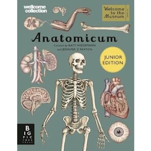 Anatomicum Junior - Jennifer Z. Paxton - Bog