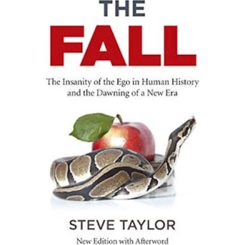 Steve Taylor: The Fall (Ny udgave med efterord)