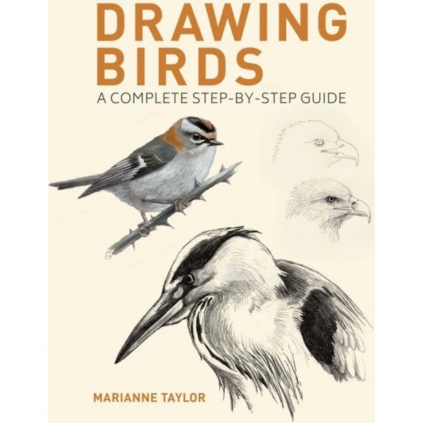 Drawing Birds