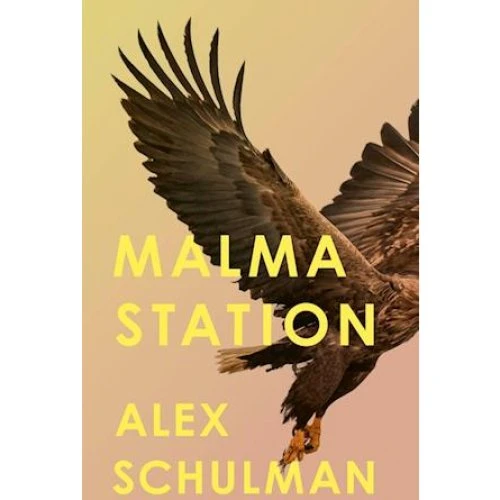 Alex Schulman: Malma Station (Bog)