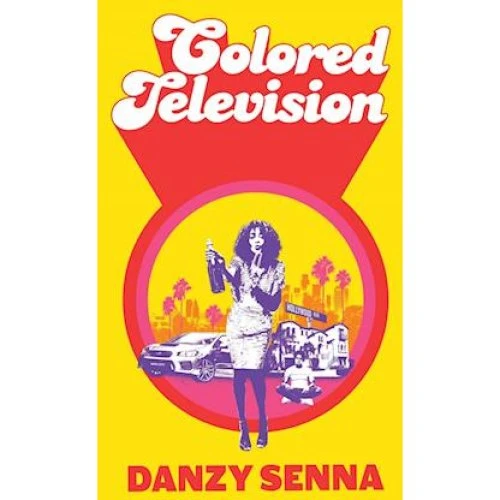 Danzy Senna: Colored Television (Bog)