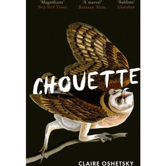 Chouette - Claire Oshetsky (Bog)