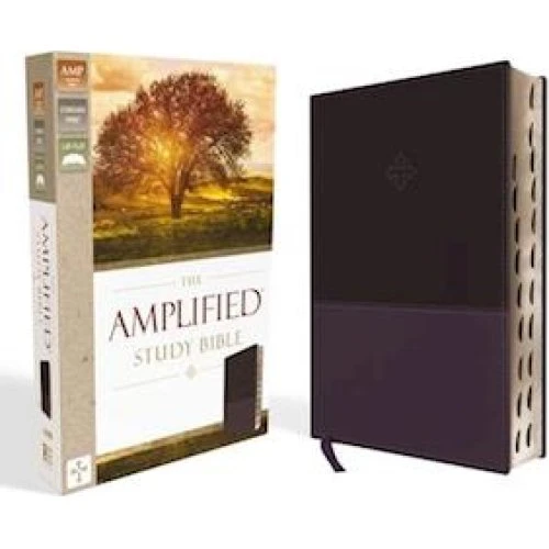 Zondervan Amplified Study Bible, Leathersoft, Lilla, Tommelfinger-indeks