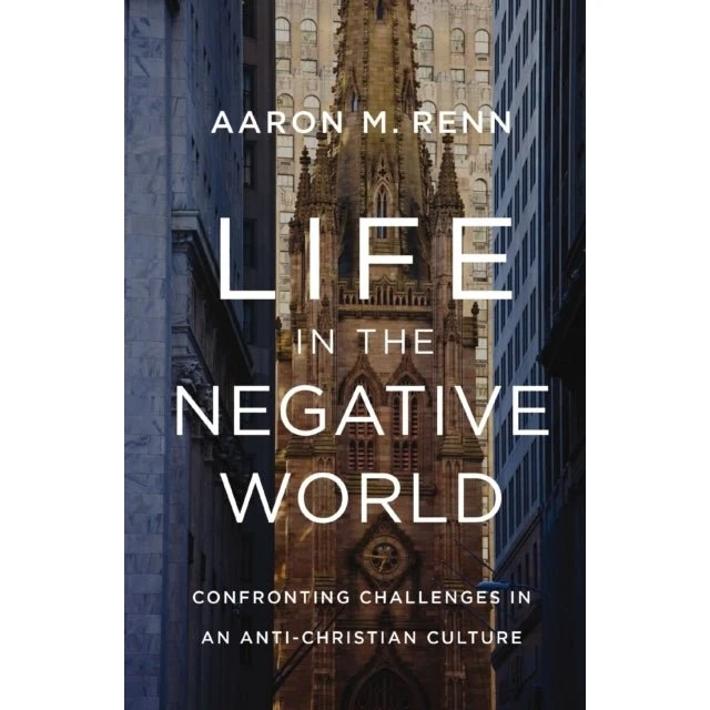 Life in the Negative World - Aaron M. Renn