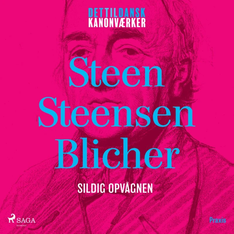 Sildig opvågnen. Et kanonværk af Steen Steensen Blicher