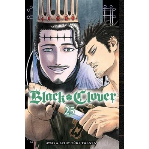 Black Clover, Vol. 25 - Yuki Tabata - Bog