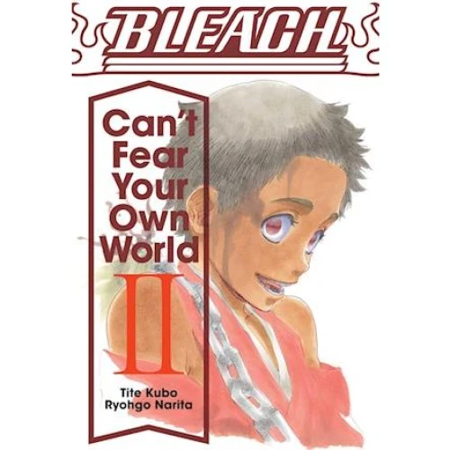 Bleach: Can't Fear Your Own World, Vol. 2 - Ryohgo Narita