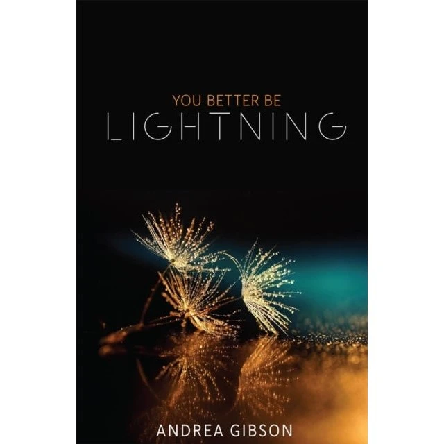Andrea Gibson: You Better Be Lightning - Bog