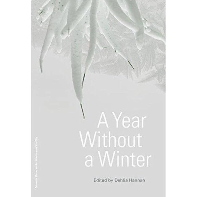 A Year Without a Winter - Dehlia Hannah