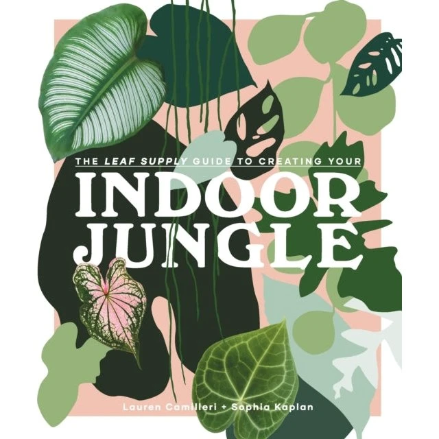 The Leaf Supply Guide to Creating Your Indoor Jungle