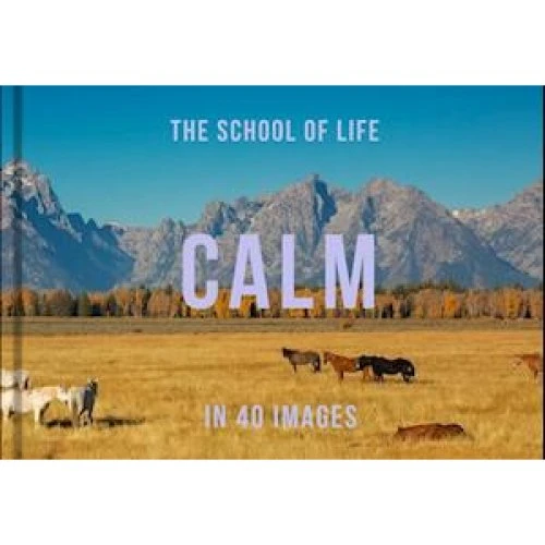 The School of Life: Calm in 40 Images