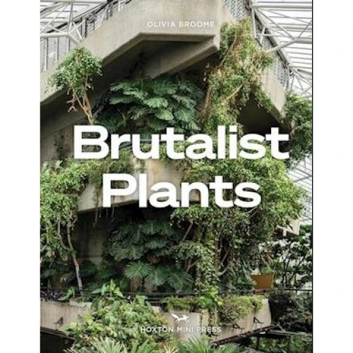 Olivia Broome: Brutalist Plants - Bog