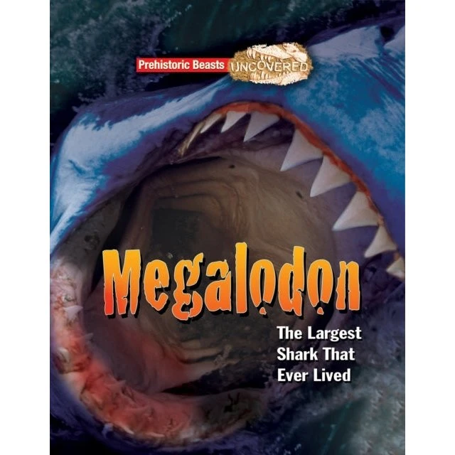 Megalodon: En fascinerende rejse gennem palæontologiens verden