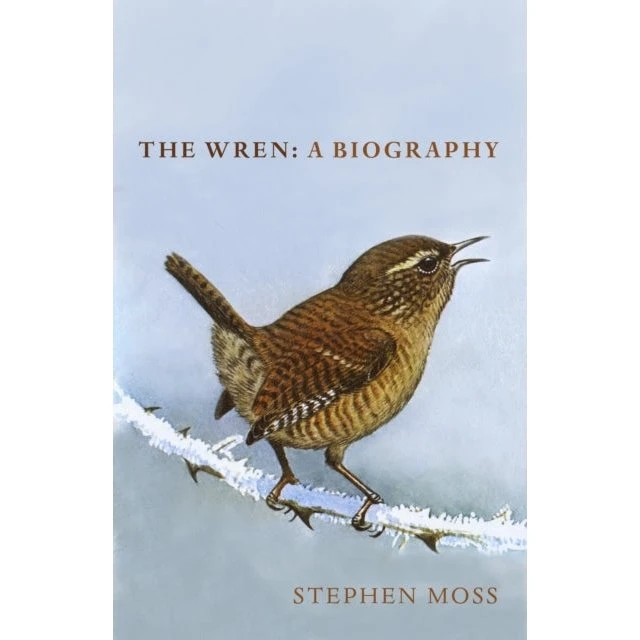 Stephen Moss: The Wren - Bog