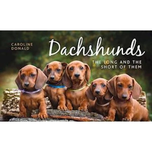 Caroline Donald: Dachshunds - Bog