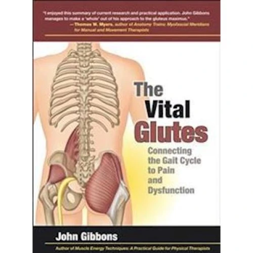 John Gibbons: The Vital Glutes - Bog