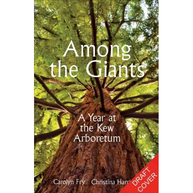 Among the Giants - Christina Harrison & Carolyn Fry (Bog)