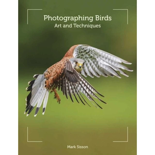 Photographing Birds - Mark Sisson