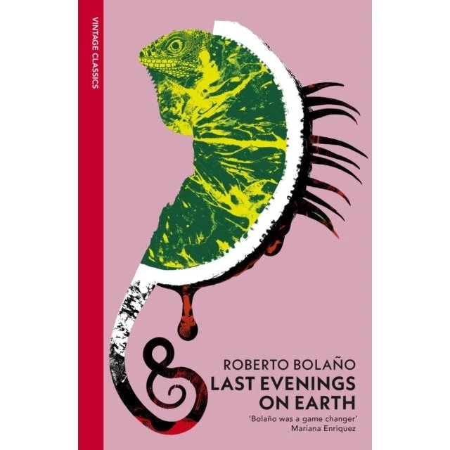 Last Evenings On Earth - Roberto Bolaño (Bog)