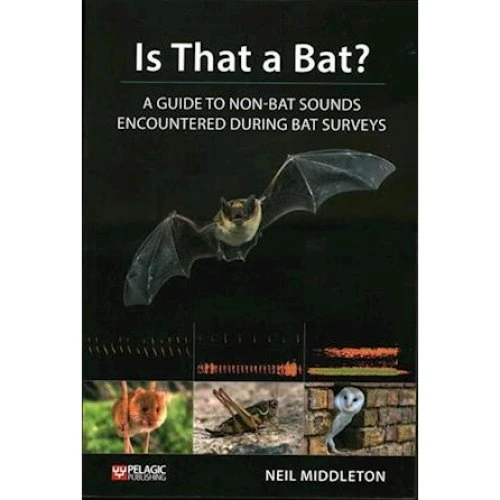 Neil Middleton: 'Is That a Bat?' - Bog