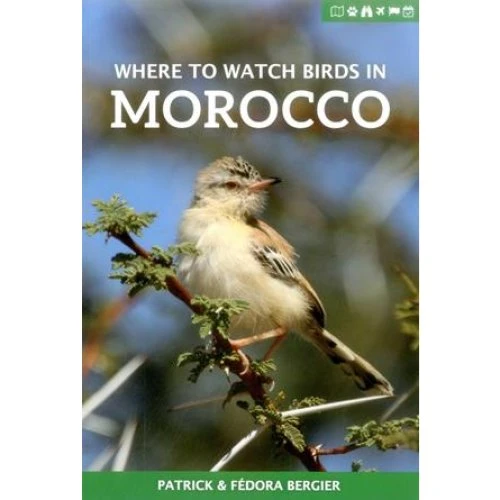 Where to Watch Birds in Morocco - Patrick & Fedora Bergier (Bog)