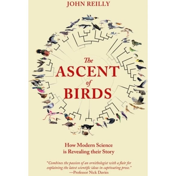 The Ascent of Birds - John Reilly