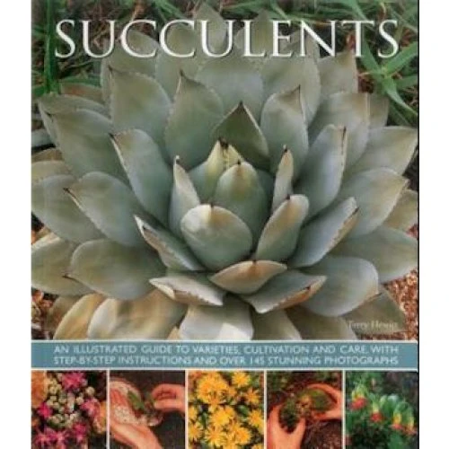 Succulents af Terry Hewitt - Illustreret guide til sukkulenter