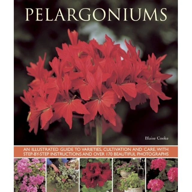 Pelargoniums af Blaise Cooke - Illustreret guide
