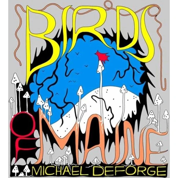 Birds of Maine - Michael Deforge - Bog