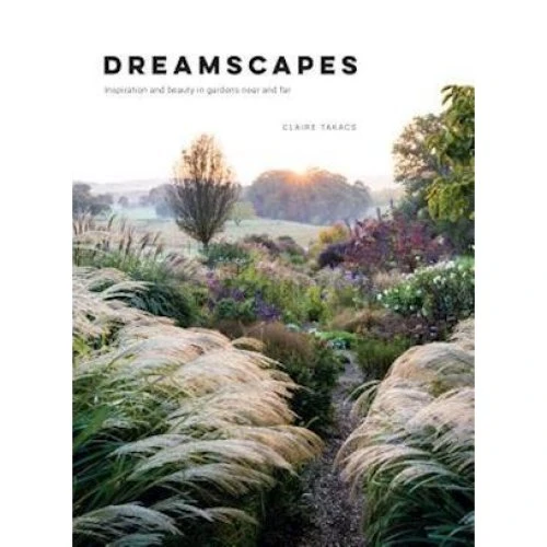 Claire Takacs: Dreamscapes - Bog