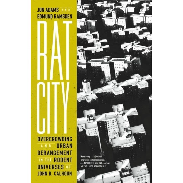 Rat City - Jon Adams & Edmund Ramsden (Bog)