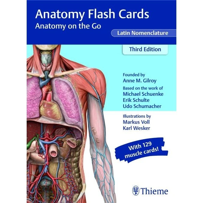 Thieme Anatomy Flash Cards: Anatomy On The Go - Anne M. Gilroy