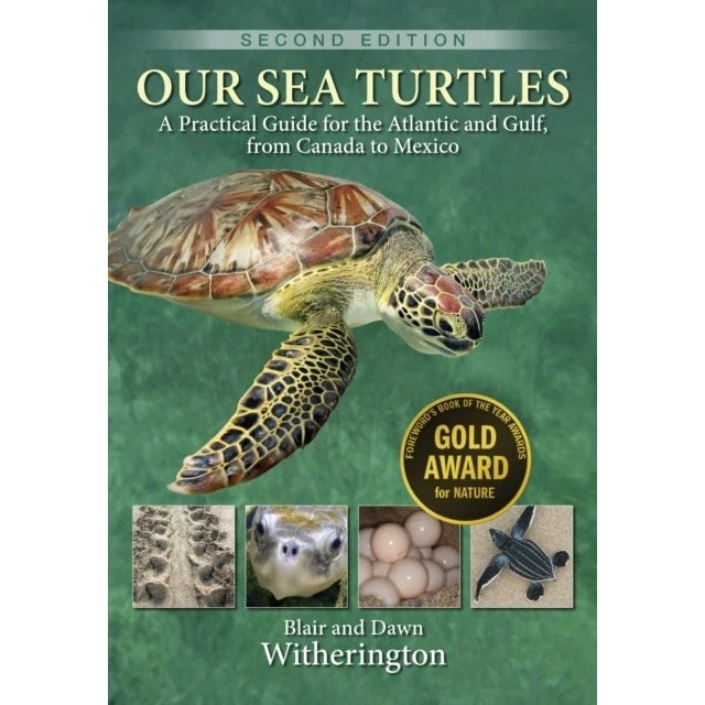 Our Sea Turtles af Blair & Dawn Witherington (2. udgave)