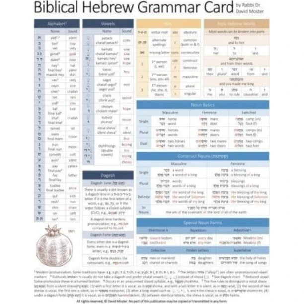 Biblical Hebrew Grammar Card - David Moster