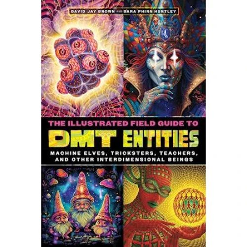 The Illustrated Field Guide to DMT Entities - David Jay Brown