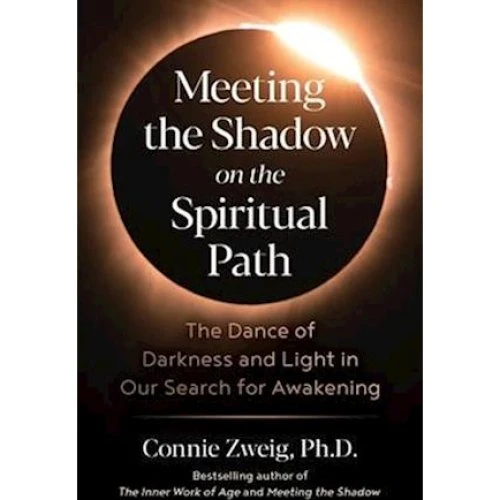 Connie Zweig: Meeting the Shadow on the Spiritual Path (Bog)