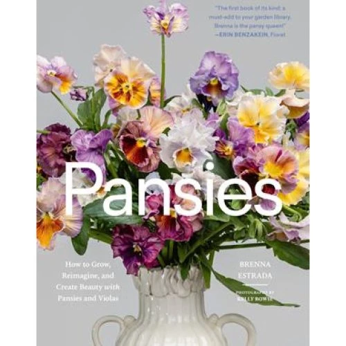 Brenna Estrada: Pansies - Bog